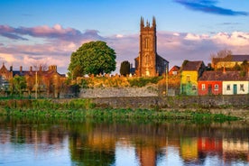 Best of Limerick: Private Walking Tour with a Local