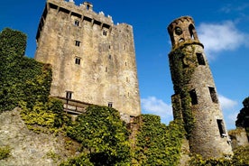 Blarney Castle Heildagsferð frá Dublin