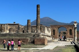 Day trip to Pompeii and Mount Vesuvius Tour from Naples with Pizza or Wine tastings