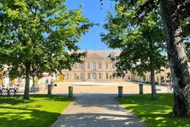 Tour per piccoli gruppi a Medoc o degustazione di vino a Saint Emilion e tour degli Chateaux da Bordeaux