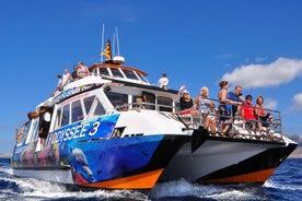 Odyssee 3: excursion en bateau à fond de verre à Fuerteventura