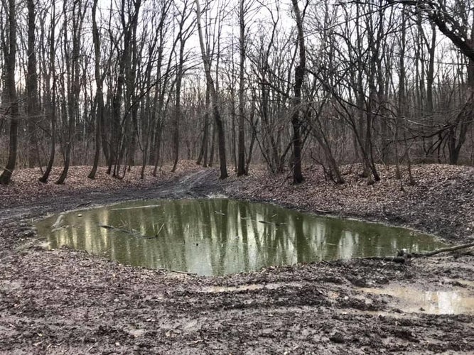 Witches Pond.webp