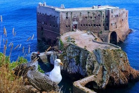 Boat and Kayak at Berlenga Natural Reserve