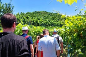  Dégustation de vins et visite des vignobles de Tirana/Durres