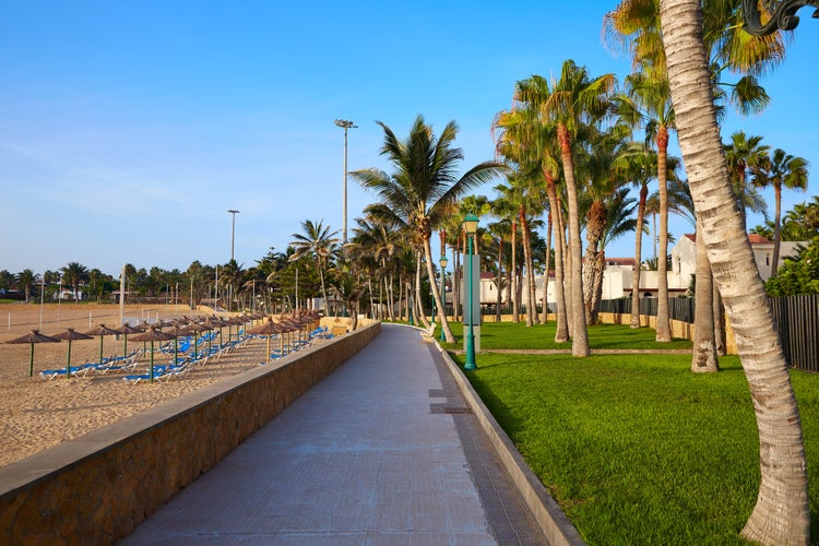 Photo of Fuerteventura Caleta del Fuste at Canary Islands of Spain.