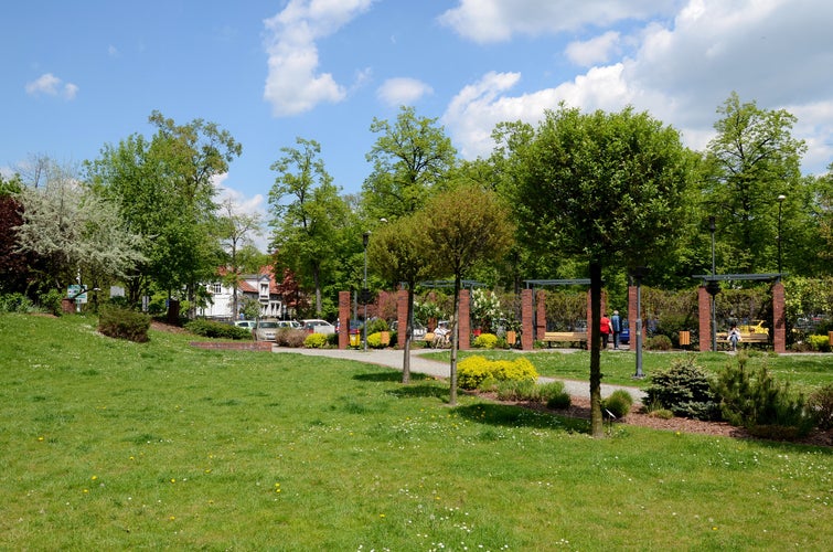 Municipal park (Gliwice in Poland)