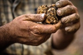 Experiencia de caza de trufas Langhe