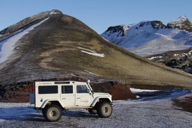 아이슬란드 : PhD 가이드가 포함 된 Landmannalaugar 에코 투어