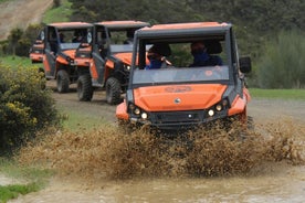 Aventure en buggy avec une vue incroyable sur la mer et le réservoir