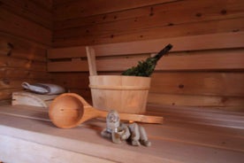 Rovaniemi: Private Sauna, Jacuzzi and Dinner