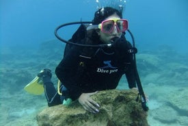 Aventure de plongée sous-marine pour la première fois, Makronissos, Ayia Napa