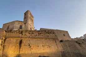 Guided walking tour in Dalt Vila and Art workshop 