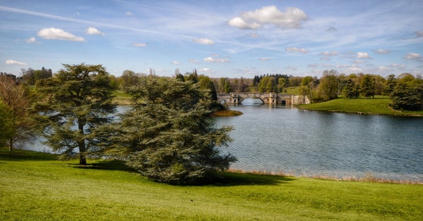 Blenheim Palace grounds, Woodstock, Oxfordshire UK.