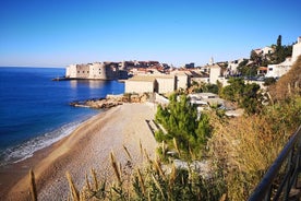 Dubrovnik Old City Group Tour