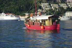 Blauwe Grot en grotten Discovery Dubrovnik - Groepsreis per boot