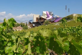 Rioja-wijntour: wijnmakerij en traditionele lunch vanuit Bilbao