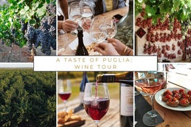 Esperienza di degustazione di vini nella campagna pugliese