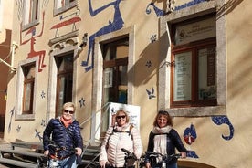 Dresden Highlights - Große Stadtrundfahrt mit Fahrrad 