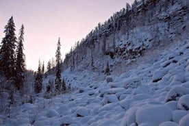 罗瓦涅米（Rovaniemi）在Korouoma峡谷攀冰日