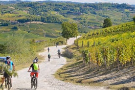 “Langhe del Barolo”私人电动自行车之旅 - 柏油路和土路