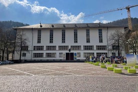 Heidelberg: Experience our history 1.5h walking tour through the old town