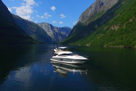 Sognefjord, Flåm 및 Nærøyfjord 프라이빗 크루즈