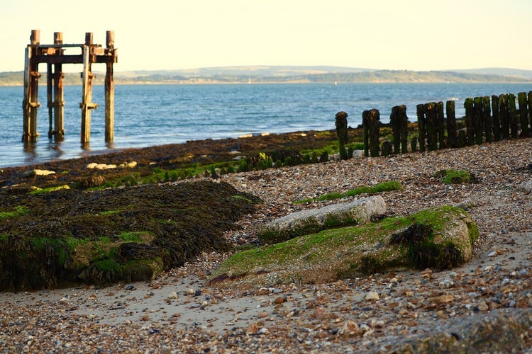 lepe-4367297_1280.jpg