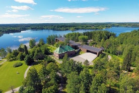 Entrée aux incroyables musées Serlachius dans la région de Tampere