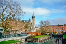 La storia di Dublino con la gente del posto: 1916 Easter Rising PRIVATE Tour