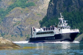 Croisière dans le fjord jusqu'au Fjærlandsfjord