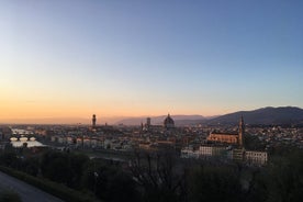 Florence and Pisa with Wine Experience Private Tour