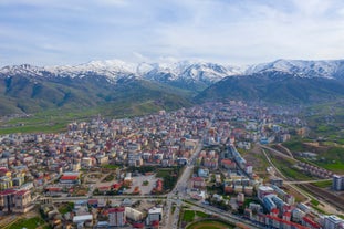 Muş