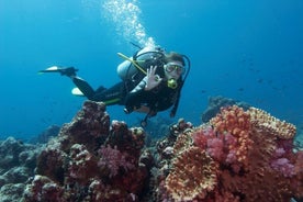 Scuba Diving from Marmaris Area