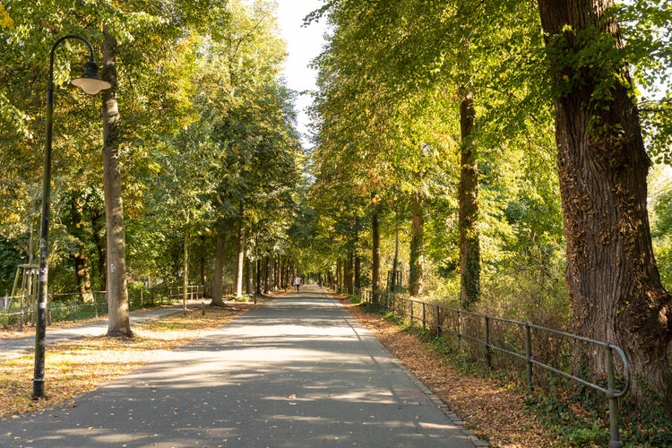 Photo of Muenster promenade with bikes