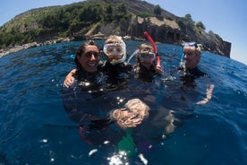 下午在索伦托由海洋生物学家指导浮潜