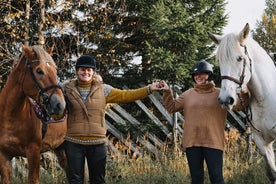 Tour a cavallo con i cavalli finlandesi al Villaggio di Babbo Natale