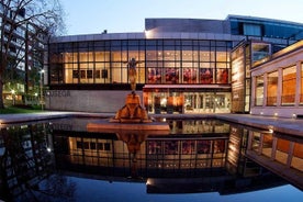 Bilbao: Visite guidée privée du musée des beaux-arts