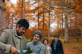 Antiquités, Cotswolds et feuilles d'automne