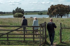 Tour privé : excursion d’une journée à Évora et au cromlech des Almendres au départ de Lisbonne