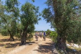 Gallipoli Inland and Surroundings Full-Day Bike Tour