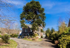 Abbotsford Lodge - Guest house