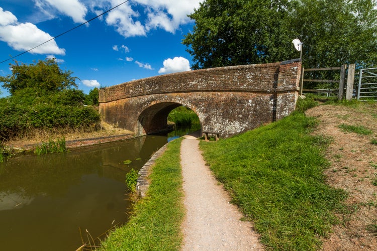 photo of view of Towpath beneath bridge of British Canal on beautiful sunny summer day. Taunton and Bridgewater Canal, Maunsel Lock, UK..