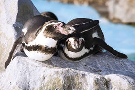 Bournemouth Oceanarium Aðgöngumiði