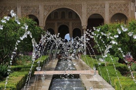 Visite Alhambra e Generalife com guia de áudio físico