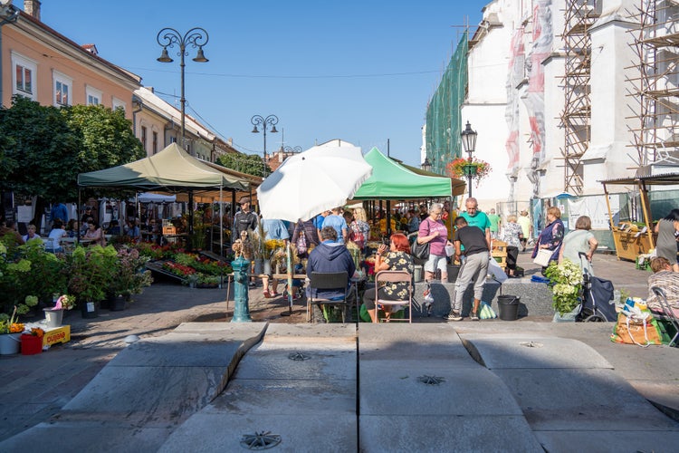 Market on a saturday morning in the town Košice.