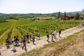 Heldags sightseeingtur i Toscana