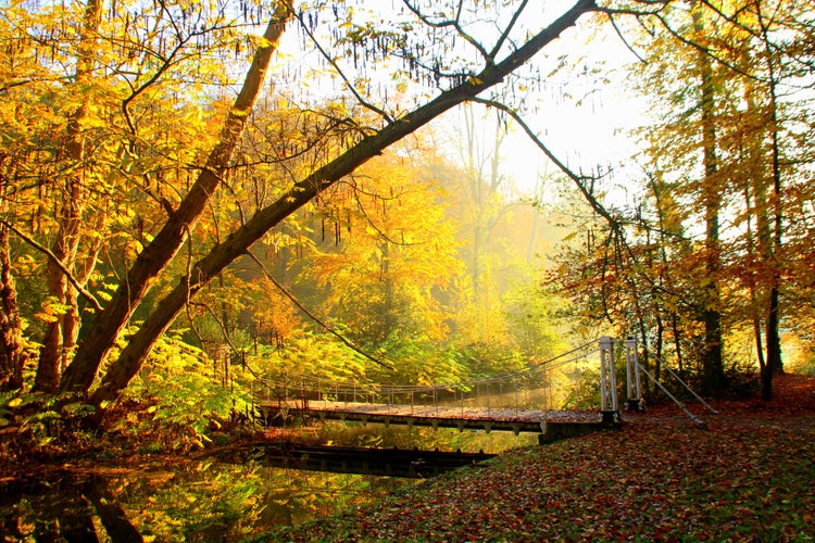 Romantic old bridge in Park Sonsbeek, autumn Arnhem 