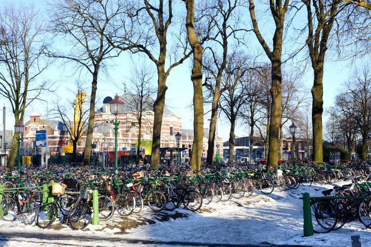 Bicycle parking in Hoorn, city of Netherlands. Sunny winter day.