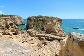 Lagos: Algarve Nature Tour í VW T2 sendibíl