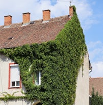 Sárospatak - city in Hungary